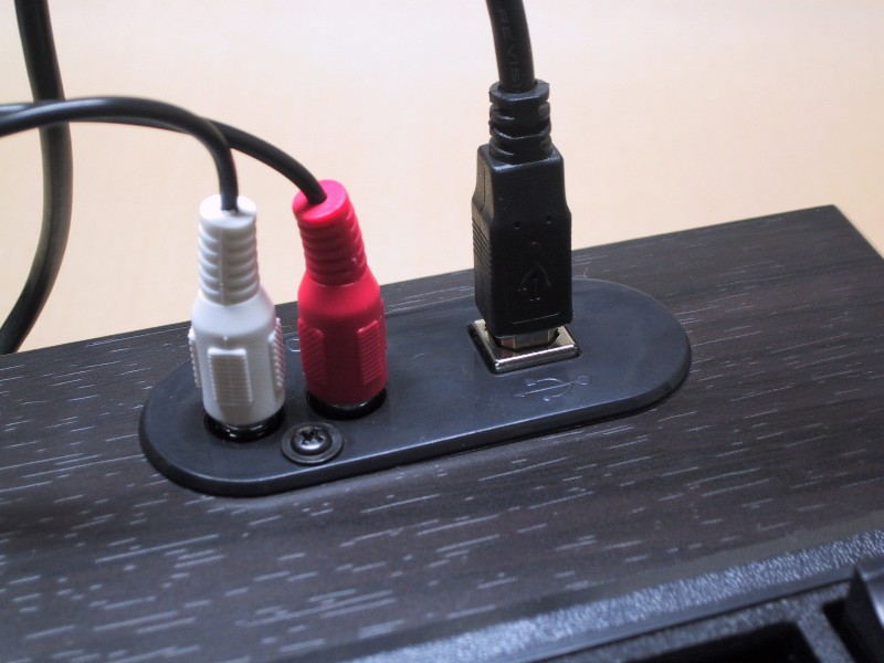 USBポートと、入出力を兼ねたRCAジャックは上向きに配置されている。片手で抜き挿しできるので、意外なほど使い勝手が良い