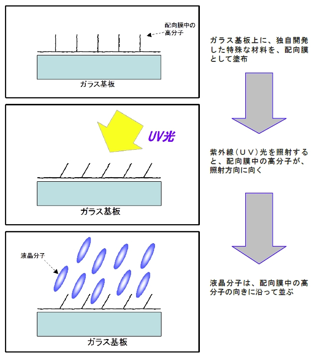 光配向技術の概要（9月16日発表文より引用）